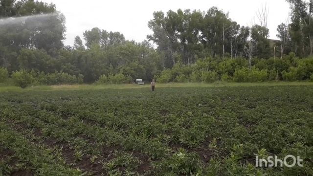 InShot_20250507_112855539.mp4