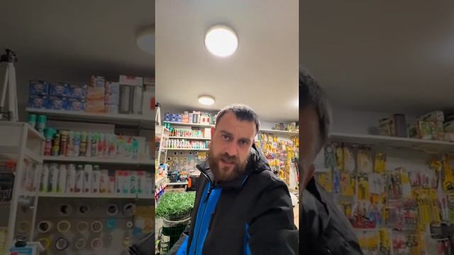 Зелена огорожа, зелений забор - замовити тут.