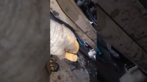 Продолжение,Вольво Volvo FH12 замена помпы и передней ходо