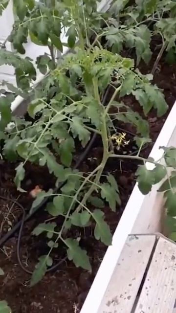 ➡️ Телеграмм в комментарии🔥 #авитолог #продажи #марк