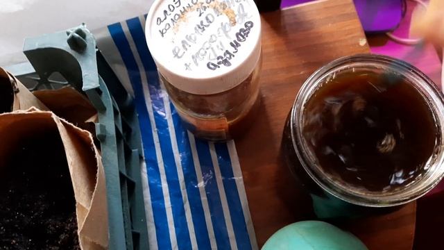 28 февраля 2024 г. смотреть онлайн