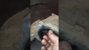 Hyundai Santa fe 3 поколение | Ремонт Полного Привода | 2015 год |