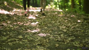 От этих видов под эту музыку мурашки - LoveGames -- Makaih Beats -- LoveGames