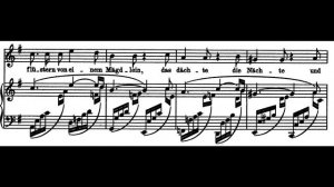 Орешник (Der Nussbaum) — Р. Шуман | Исполняет Андрей Киселев