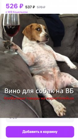 Вино для собак: Дмитрий Шалаев о том как заработать на мемах, хайпе, трендах на маркетплейсах