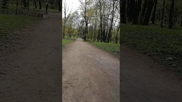 Погода в Санкт-Петербурге на 8.05.2025 в Красносельском районе краткое