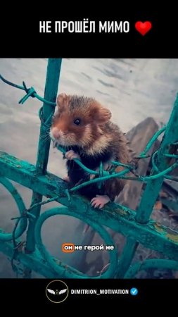 Научись продавать | Роберт Кийосаки #совет