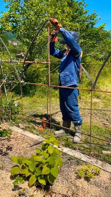 Готические элементы в заборе смотреть онлайн