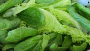 Салат с моцареллой и перцем