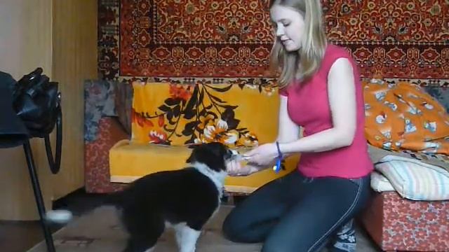 Джая 2,5 мес работа за игрушку смотреть онлайн