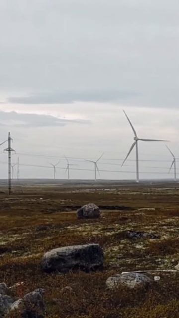 #ветряки #териберка #дорога #тундра #север #заполярье #о смотреть онлайн
