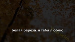 Белая береза-дворовые песни...реально караоке!!!
