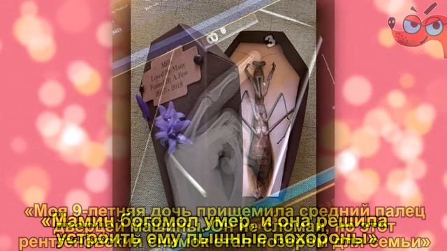 Фото, которые дадут пинок под зад вашему плохому настроению смотреть онлайн