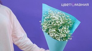 Букет из 5 гипсофил