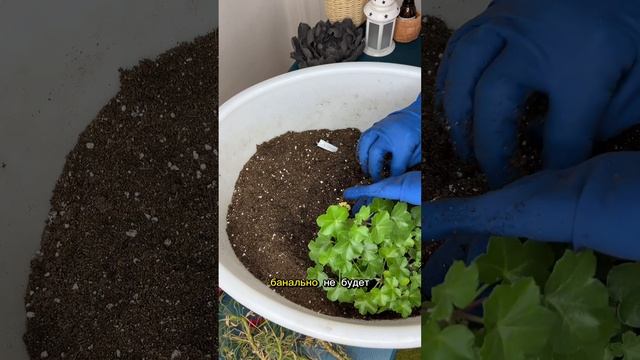 Как я использую грунт б/у смотреть онлайн