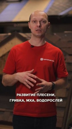 Появился мох на гибкой черепице!