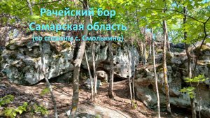 Рачейский бор, Самарская область_06.05.2025
#сезонконтентаRUTUBE