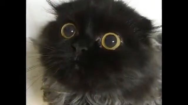 Когда проспал на работу смотреть онлайн