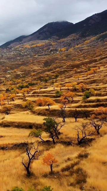 Террасы Дагестана смотреть онлайн