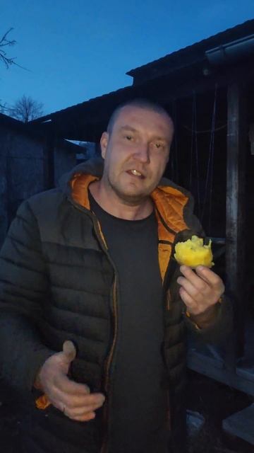 Печеная картошка на углях. Часть 1 😂 #прикол #картошка смотреть онлайн