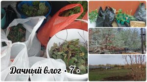 ПОСАДИЛА МНОГО ЦВЕТОВ НА ДАЧЕ 🏡 // УСТАНОВИЛИ КРАН ДЛЯ ВОДЫ // УСПЕТЬ ДО ДОЖДЯ