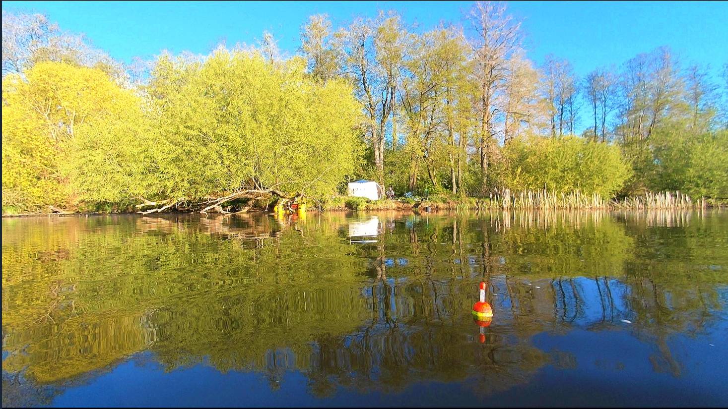 ПЕРВАЯ МАЙСКАЯ НОЧЕВКА С РЫБАЛКОЙ В КРАСИВОМ МЕСТЕ смотреть онлайн
