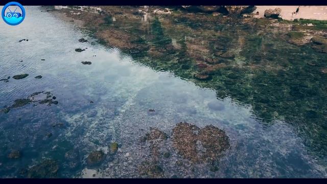Лучшая Музыка 2025🏖️Зарубежные песни Хиты🏖️Популяр?