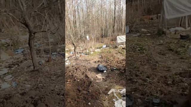 Делаю теплые грядки, уборка сада и огорода в моем пито? смотреть онлайн