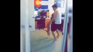 Новые прикольные кубы , смешные приколы, хорошее настроение !