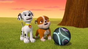 Щенячий патруль | Дружеские приключения и спасения Ще?