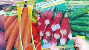 🌿🥬🫛Что посеешь- Кабачок Мальчуган. Самые полезные ?