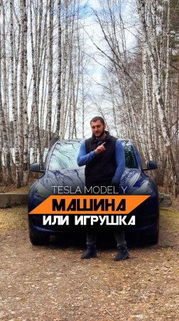 TESLA Model Y - фишки против функциональности