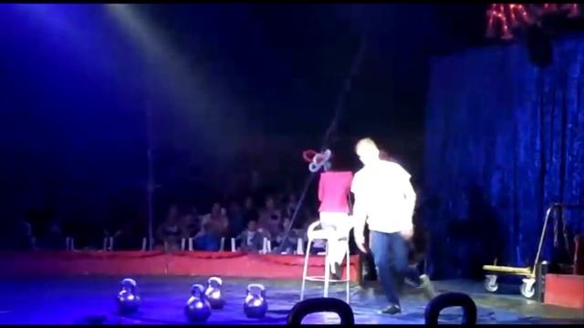 Едем в цирк смотреть онлайн