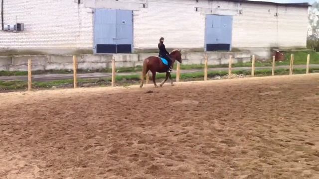 Верхом смотреть онлайн