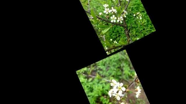 Spring .mp4