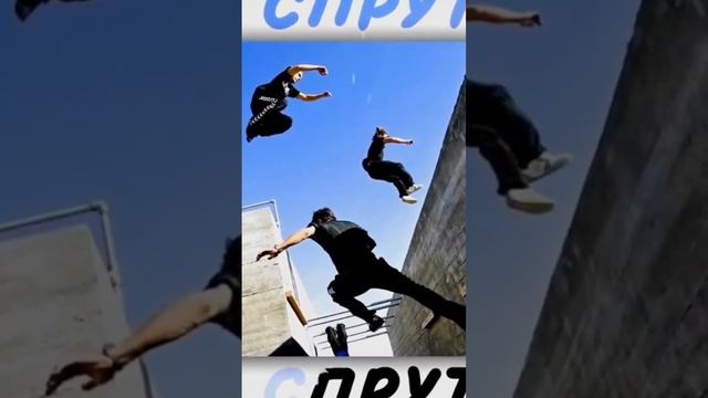 СПРУТЕЛЬ О ПАРКУРЕ. #shorts