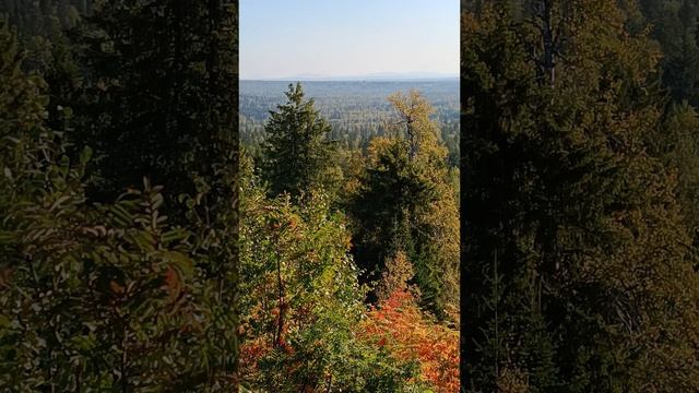 ПЕРМСКИЙ КРАЙ. НА СМОТРОВОЙ ПЛОЩАДКЕ