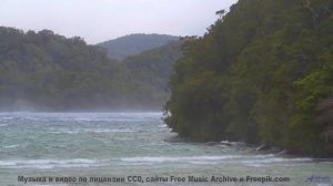 Почему этот клип вызывает непреодолимую тягу к путешествиям - Smallest Things In The Forest-[AudioTr