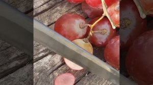 Нож_узбекский_УНИВЕРСАЛЬНЫЙ_Тест_с_виноградом