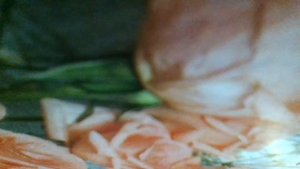 Ленинград, Ленинград - кружевной узор оград. Эрмитаж, Летний сад, белой ночи аромат(наброски)