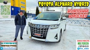 TOYOTA ALPHARD HYBRID (8 мест). Посмотрели что купили и привезли.