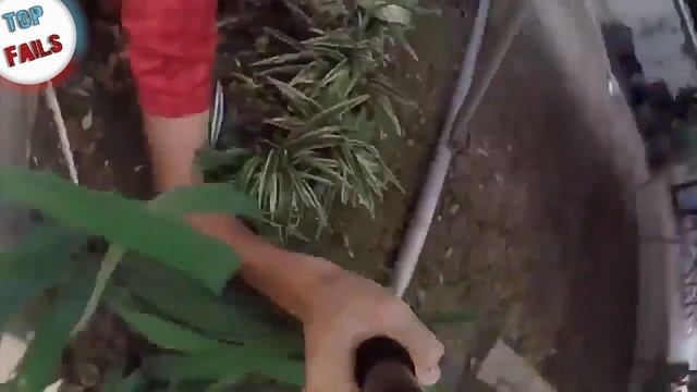 АНАЛИЗ ХЕЙТА НА ЛАРИНА 😡 Лучшие Приколы за Февраль 2017 ||Top Fails|| смотреть онлайн