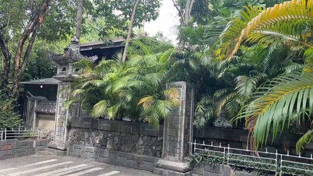 Вьетнам. Бесплатная экскурсия в Нячанге - стоит ли еха? смотреть онлайн