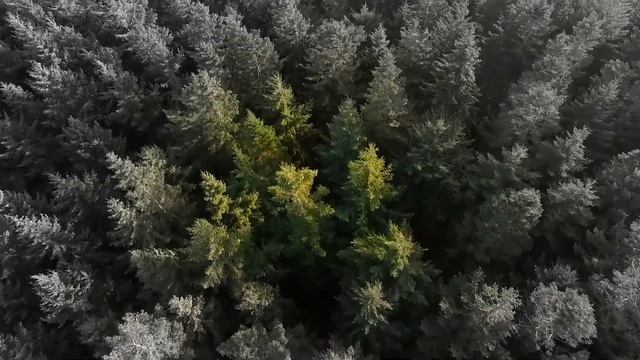 Страшные истории. Из погреба. Страшилки на ночь смотреть онлайн