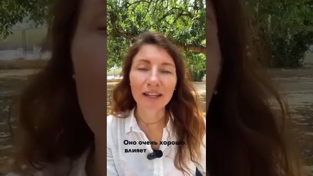 ЦВЕТКИ ЛАВАНДЫ ДЛЯ ЗДОРОВЬЯ ВСЕЙ СЕМЬИ.#травник #натур