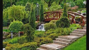 ПРИКОСНИТЕСЬ К УДИВИТЕЛЬНОЙ КРАСОТЕ ГОРОДСКИХ ПАРКОВ И СКВЕРОВ  - ОАЗИСАМ УМИРОТВОРЕНИЯ