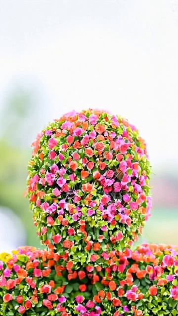 я клумба😁 смотреть онлайн