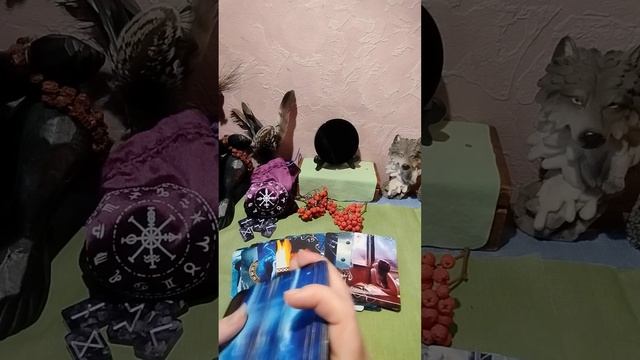 РАСКЛАД НА КАРТАХ ТАРО  :   НОВОСТИ  ДЛЯ  ВАС   🍀💐🌾🍀?