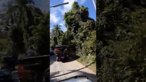 Обзорная экскурсия по Самуи,с ребенком