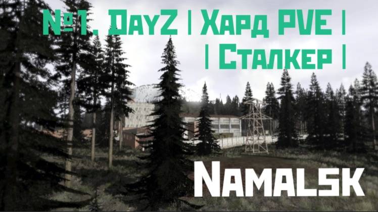 #1. DayZ  | Намальск. Хард  |Пве. Сталкер |